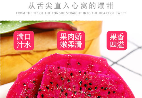 金都一號蜜寶紅心火龍果 現摘新鮮，甜蜜直達